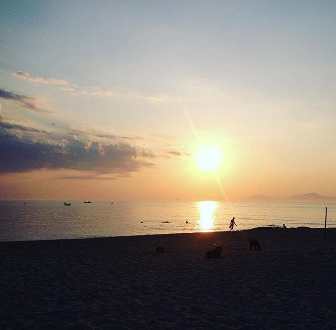 Phát hiện bãi biển vắng ít người biết gần Đà Nẵng, từng được báo nước ngoài ca ngợi "đẹp nhất châu Á"- Ảnh 8. Phát hiện bãi biển vắng ít người biết gần Đà Nẵng, từng được báo nước ngoài ca ngợi "đẹp nhất châu Á"- Ảnh 8.