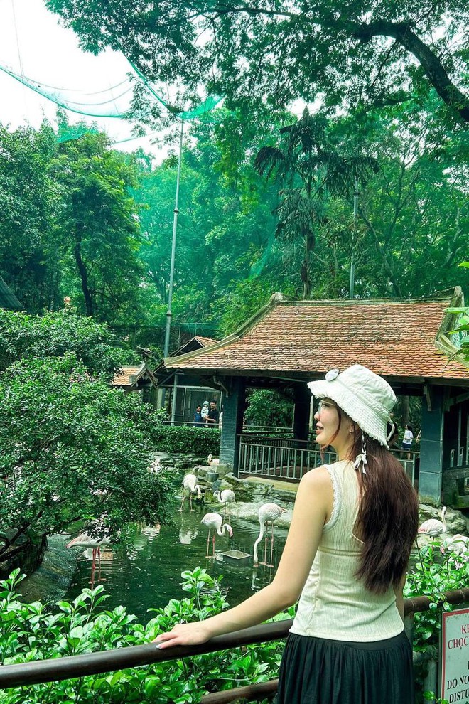 Lãi gần 5 tỉ chỉ trong 6 tháng đầu năm, Thảo Cầm Viên vẫn chứng tỏ sức hút tuyệt đối của mình- Ảnh 4. Lãi gần 5 tỉ chỉ trong 6 tháng đầu năm, Thảo Cầm Viên vẫn chứng tỏ sức hút tuyệt đối của mình- Ảnh 4.