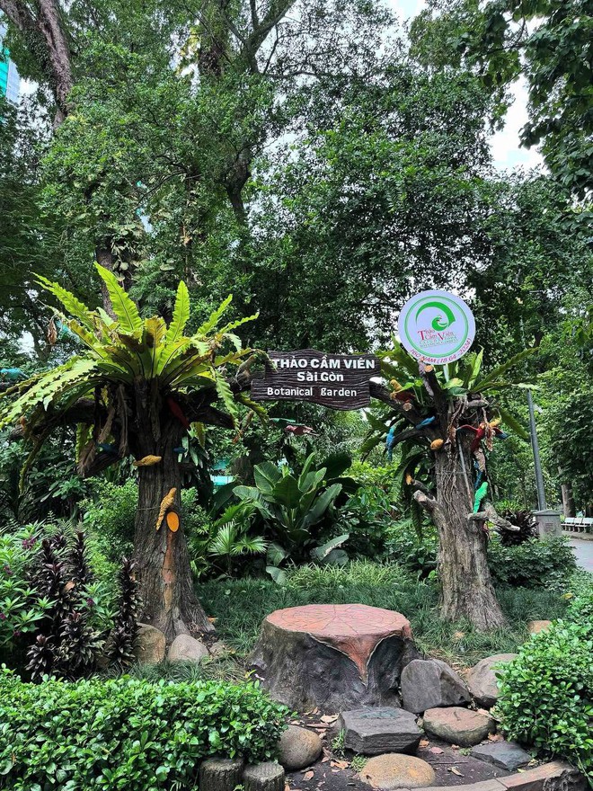 Lãi gần 5 tỉ chỉ trong 6 tháng đầu năm, Thảo Cầm Viên vẫn chứng tỏ sức hút tuyệt đối của mình- Ảnh 6. Lãi gần 5 tỉ chỉ trong 6 tháng đầu năm, Thảo Cầm Viên vẫn chứng tỏ sức hút tuyệt đối của mình- Ảnh 6.