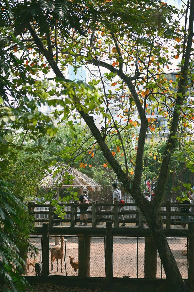 Lãi gần 5 tỉ chỉ trong 6 tháng đầu năm, Thảo Cầm Viên vẫn chứng tỏ sức hút tuyệt đối của mình- Ảnh 9. Lãi gần 5 tỉ chỉ trong 6 tháng đầu năm, Thảo Cầm Viên vẫn chứng tỏ sức hút tuyệt đối của mình- Ảnh 9.