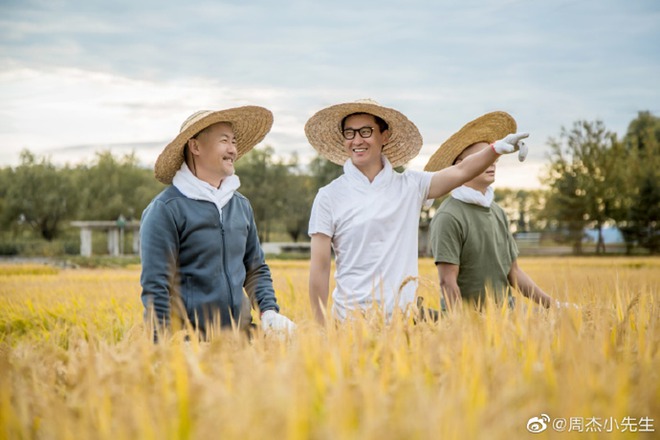 Nam diễn viên bị hắt hủi, bỏ diễn về quê trồng lúa giờ thành triệu phú- Ảnh 7. Nam diễn viên bị hắt hủi, bỏ diễn về quê trồng lúa giờ thành triệu phú- Ảnh 7.