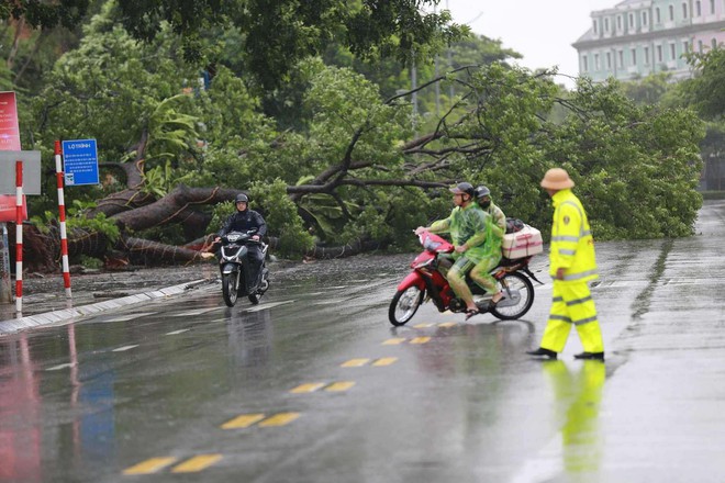 Những thiệt hại ban đầu khi bão số 2 đổ bộ Quảng Ninh- Ảnh 17. Những thiệt hại ban đầu khi bão số 2 đổ bộ Quảng Ninh- Ảnh 17.