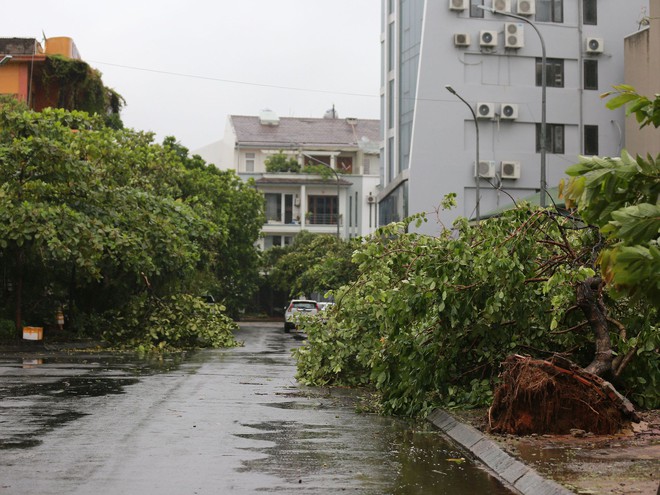 Những thiệt hại ban đầu khi bão số 2 đổ bộ Quảng Ninh- Ảnh 5. Những thiệt hại ban đầu khi bão số 2 đổ bộ Quảng Ninh- Ảnh 5.