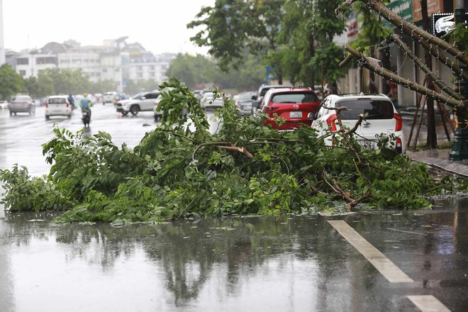Những thiệt hại ban đầu khi bão số 2 đổ bộ Quảng Ninh- Ảnh 26. Những thiệt hại ban đầu khi bão số 2 đổ bộ Quảng Ninh- Ảnh 26.