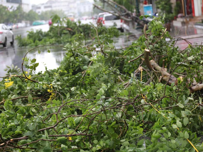 Những thiệt hại ban đầu khi bão số 2 đổ bộ Quảng Ninh- Ảnh 24. Những thiệt hại ban đầu khi bão số 2 đổ bộ Quảng Ninh- Ảnh 24.