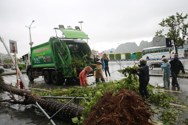 Những thiệt hại ban đầu khi bão số 2 đổ bộ Quảng Ninh- Ảnh 11. Những thiệt hại ban đầu khi bão số 2 đổ bộ Quảng Ninh- Ảnh 11.