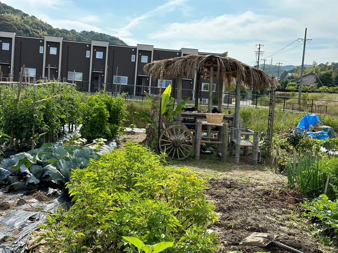 Chuyển khu vườn đủ loại hoa quả miền Tây sang Nhật, 2 thanh niên Việt nhận phản ứng lạ từ hàng xóm- Ảnh 2. Chuyển khu vườn đủ loại hoa quả miền Tây sang Nhật, 2 thanh niên Việt nhận phản ứng lạ từ hàng xóm- Ảnh 2.