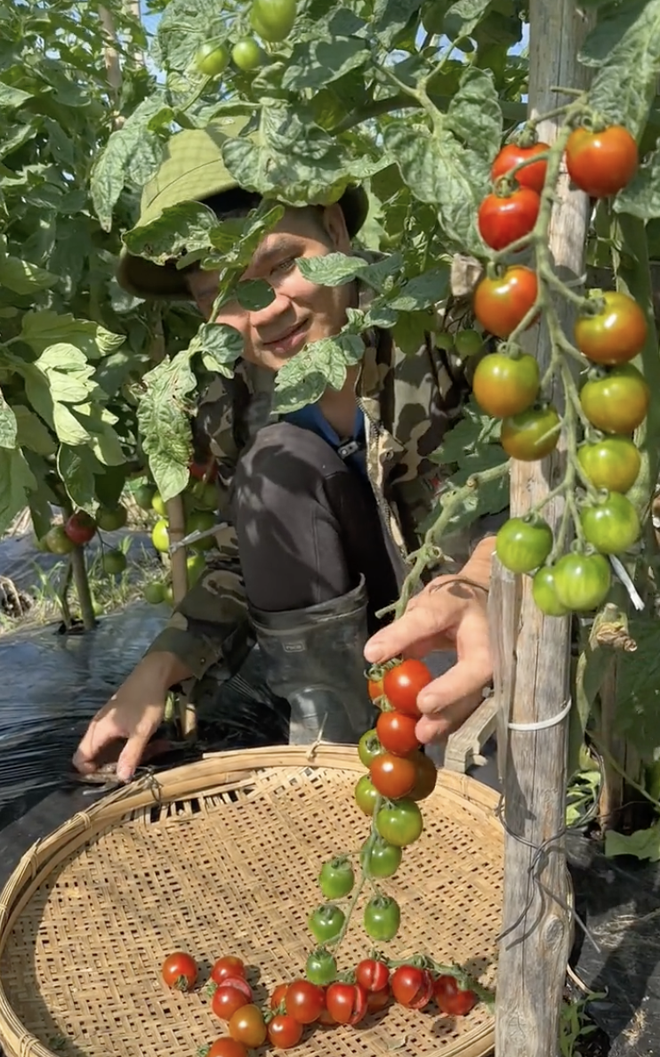 Chuyển khu vườn đủ loại hoa quả miền Tây sang Nhật, 2 thanh niên Việt nhận phản ứng lạ từ hàng xóm- Ảnh 10. Chuyển khu vườn đủ loại hoa quả miền Tây sang Nhật, 2 thanh niên Việt nhận phản ứng lạ từ hàng xóm- Ảnh 10.