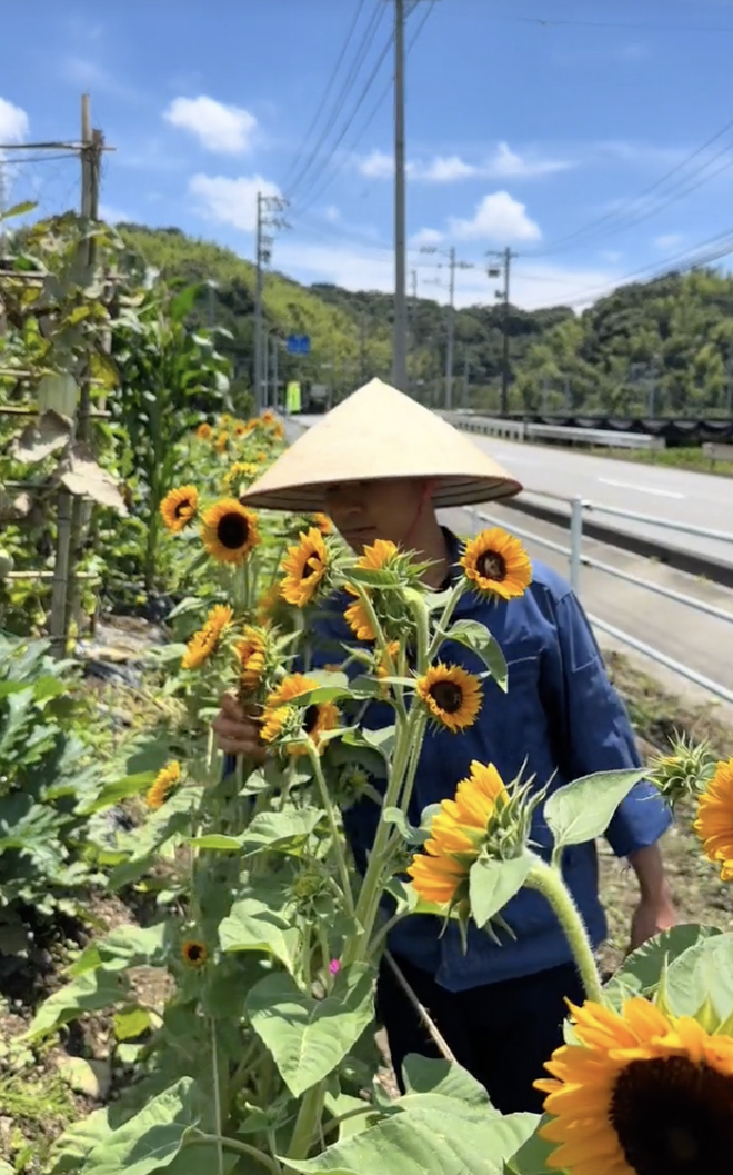 Chuyển khu vườn đủ loại hoa quả miền Tây sang Nhật, 2 thanh niên Việt nhận phản ứng lạ từ hàng xóm- Ảnh 7. Chuyển khu vườn đủ loại hoa quả miền Tây sang Nhật, 2 thanh niên Việt nhận phản ứng lạ từ hàng xóm- Ảnh 7.