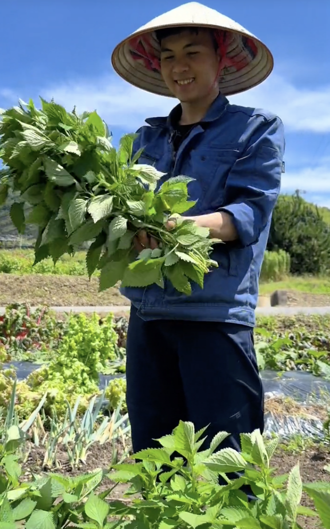 Chuyển khu vườn đủ loại hoa quả miền Tây sang Nhật, 2 thanh niên Việt nhận phản ứng lạ từ hàng xóm- Ảnh 20. Chuyển khu vườn đủ loại hoa quả miền Tây sang Nhật, 2 thanh niên Việt nhận phản ứng lạ từ hàng xóm- Ảnh 20.