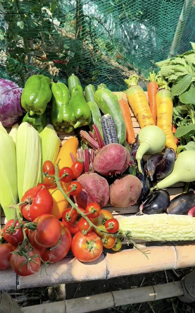 Chuyển khu vườn đủ loại hoa quả miền Tây sang Nhật, 2 thanh niên Việt nhận phản ứng lạ từ hàng xóm- Ảnh 12. Chuyển khu vườn đủ loại hoa quả miền Tây sang Nhật, 2 thanh niên Việt nhận phản ứng lạ từ hàng xóm- Ảnh 12.