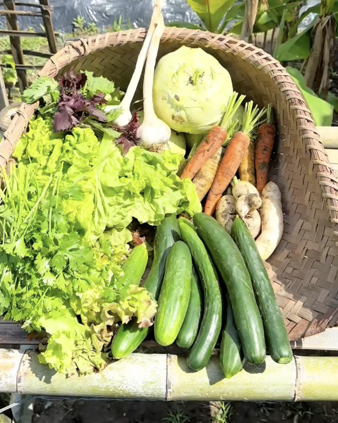 Chuyển khu vườn đủ loại hoa quả miền Tây sang Nhật, 2 thanh niên Việt nhận phản ứng lạ từ hàng xóm- Ảnh 15. Chuyển khu vườn đủ loại hoa quả miền Tây sang Nhật, 2 thanh niên Việt nhận phản ứng lạ từ hàng xóm- Ảnh 15.