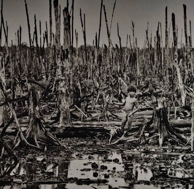 Rơi nước mắt khi chứng kiến lịch sử oai hùng tại Bảo tàng Chứng tích chiến tranh, nơi được chọn là “điểm đến hấp dẫn nhất Châu Á”- Ảnh 39. Rơi nước mắt khi chứng kiến lịch sử oai hùng tại Bảo tàng Chứng tích chiến tranh, nơi được chọn là “điểm đến hấp dẫn nhất Châu Á”- Ảnh 39.