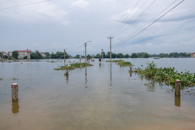 Một tuần sống cùng nước lũ của người dân ngoại thành Hà Nội: Chèo thuyền đi chợ, thả lưới bắt cá trước nhà- Ảnh 5. Một tuần sống cùng nước lũ của người dân ngoại thành Hà Nội: Chèo thuyền đi chợ, thả lưới bắt cá trước nhà- Ảnh 5.