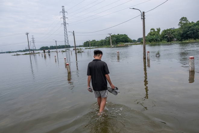 Một tuần sống cùng nước lũ của người dân ngoại thành Hà Nội: Chèo thuyền đi chợ, thả lưới bắt cá trước nhà- Ảnh 20. Một tuần sống cùng nước lũ của người dân ngoại thành Hà Nội: Chèo thuyền đi chợ, thả lưới bắt cá trước nhà- Ảnh 20.