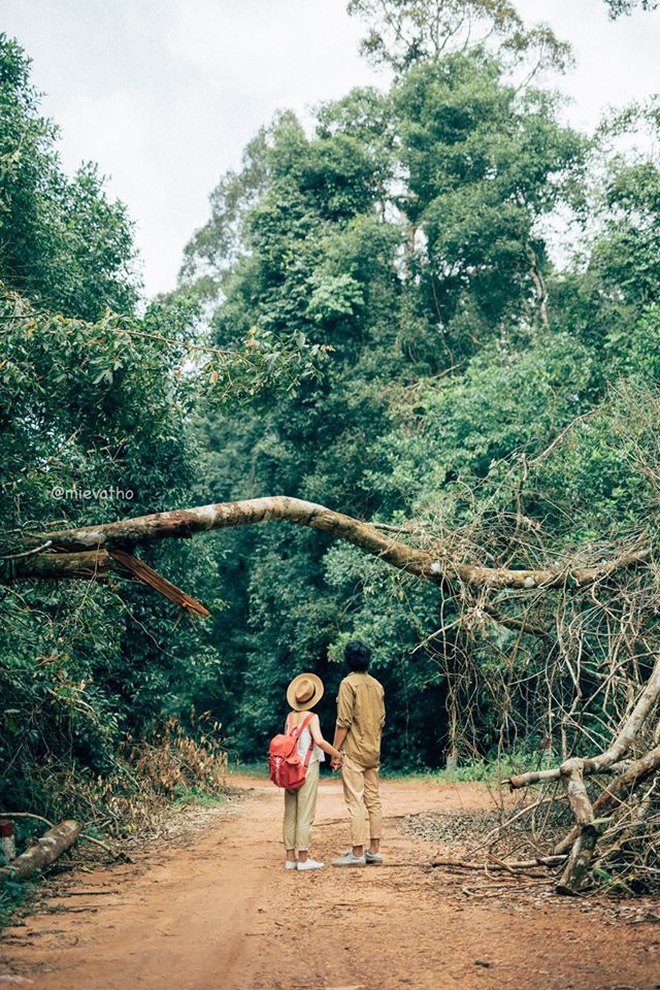 Việt Nam có điểm đến được du khách Hàn Quốc yêu thích nhất thế giới!- Ảnh 5. Việt Nam có điểm đến được du khách Hàn Quốc yêu thích nhất thế giới!- Ảnh 5.