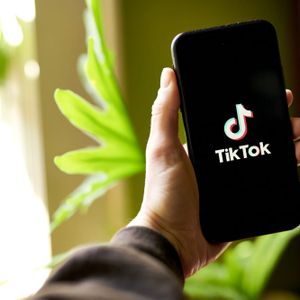 Vi phạm quyền lợi người tiêu dùng Việt, TikTok bị phạt gần 900 triệu đồng