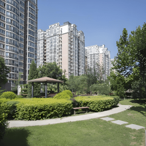 Ngày càng nhiều gia đình thích mua nhà có đặc điểm này: Lúc đầu không ít người chê, càng ở mới càng thấy “lãi”