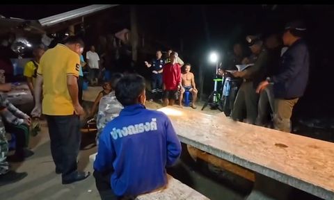 Clip: Bị xua đuổi, voi rừng 