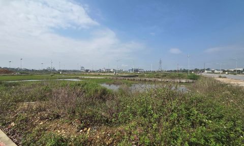 Đấu giá đất ở xã Đô Lương, Nghệ An: Một lô đất có giá khởi điểm 12 tỷ đồng