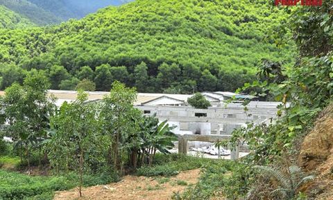 Nghệ An: Xử phạt thêm hành vi vi phạm của trang trại lợn nằm ở đầu nguồn suối Khe Đền