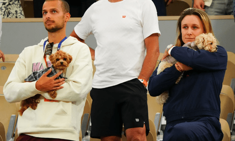 Giải tennis đặc biệt nhất thế giới: Chó cưng có thẻ tác nghiệp riêng, được thuê quản gia riêng, massage và bơi như VIP
