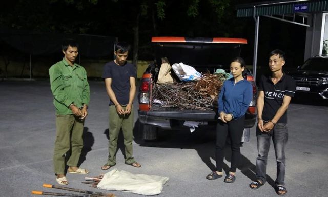 Bắt nhóm trộm cắp cáp điện cao tốc Vân Đồn - Móng Cái