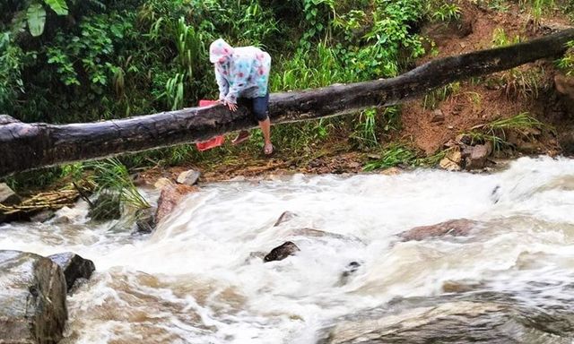 Hãi hùng, xót xa cảnh thầy cô giáo vùng cao Quảng Nam bám thân cây vượt lũ dữ