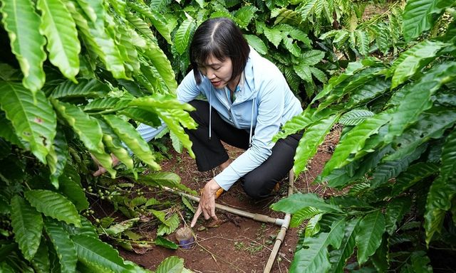 NESCAFÉ Plan 2030: Tăng cường áp dụng nông nghiệp tái sinh và giảm phát thải khí nhà kính