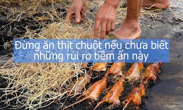 Đừng ăn thịt chuột nếu chưa biết những rủi ro tiềm ẩn này