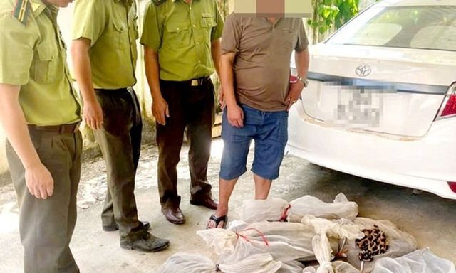 Phát hiện đối tượng vận chuyển số lượng lớn động vật hoang dã trái phép