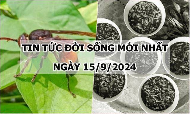 Tin tức đời sống 15/9/2024: Đang đi xe đạp, bé trai bất ngờ gặp nạn với bầy ong