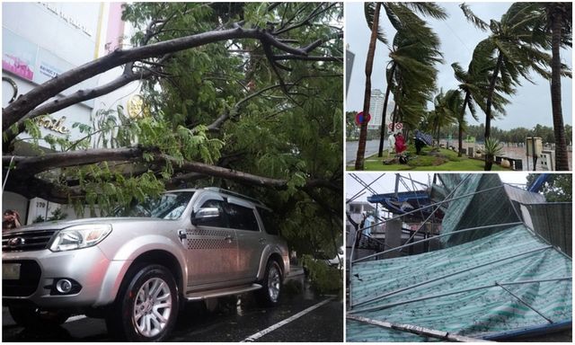 Đà Nẵng: Bão Trami “quật đổ” nhiều cây xanh, bạt che mưa bị gió cuốn bay