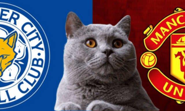 Dự đoán kết quả trận MU vs Leicester, Ngoại hạng Anh 21h ngày 10/11: Mèo tiên tri thiên vị