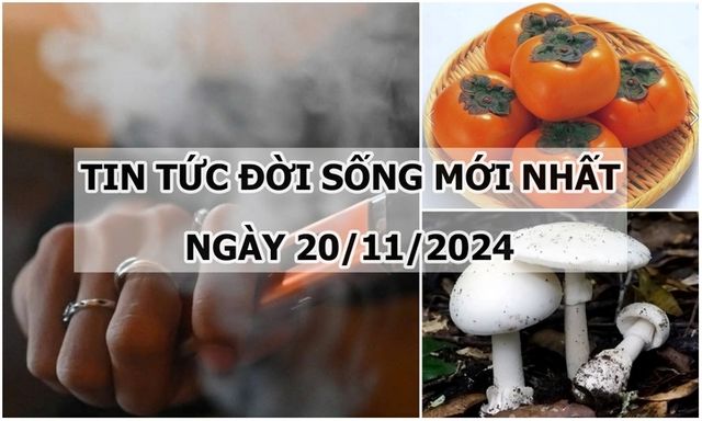 Tin tức đời sống 20/11/2024: Vào viện tâm thần 2 lần vì một sở thích nguy hiểm