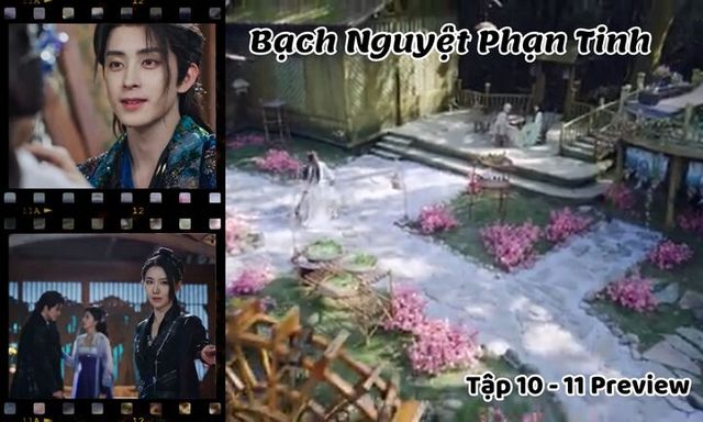 Bạch Nguyệt Phạn Tinh tập 10-11 Preview: Phạn Việt mất trí nhớ, lao ra đỡ kiếm cho Bạch Thước