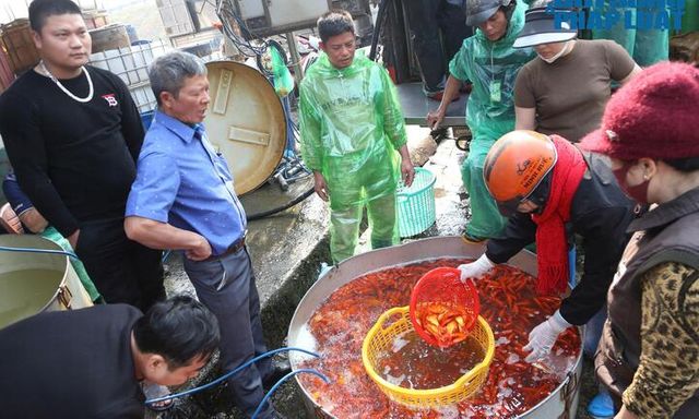 Chợ cá lớn nhất Hà Nội tấp nập, tiểu thương nói gì về mức giá 