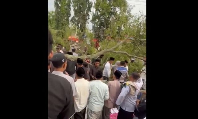 Clip: Cây xanh bất ngờ bật gốc đè 3 người dân tử vong thương tâm