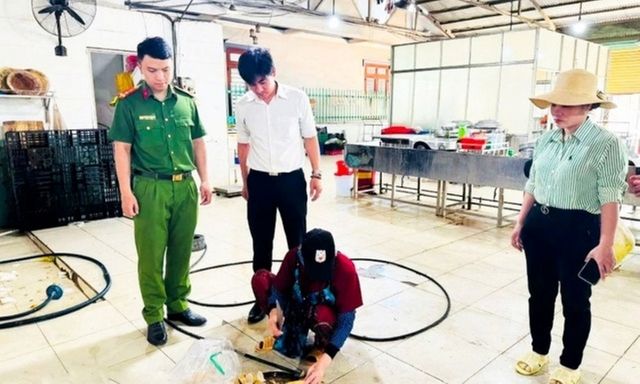Phát hiện hàn the trong chả chiên tại bếp ăn công nghiệp ở Đồng Nai