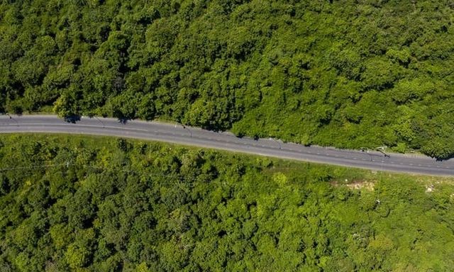 Có gì trên cung đường xuyên rừng siêu đẹp Bình Châu – Tân Thành