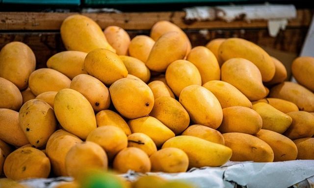 Người bệnh thận có nên ăn xoài không?