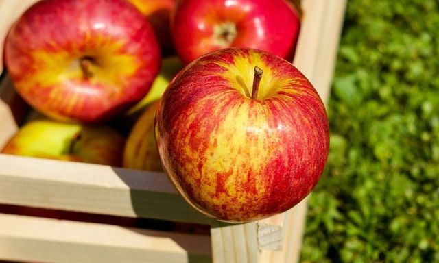  5 loại trái cây mùa hè giúp giải nhiệt, phục hồi chức năng thận