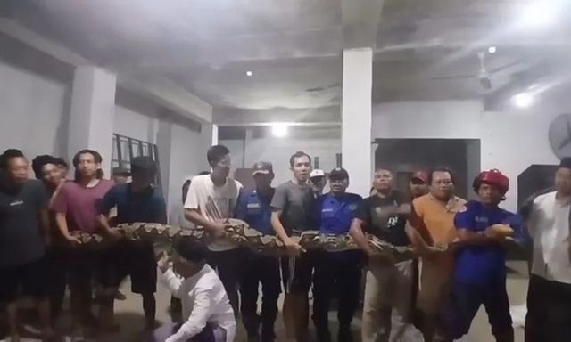 Clip: Rợn người cảnh bắt 