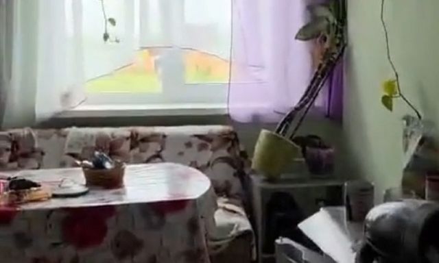 Clip: Cận cảnh nhà cửa, mặt đất rung chuyển trong trận động đất 8,7 độ Richter ngoài khơi Nga