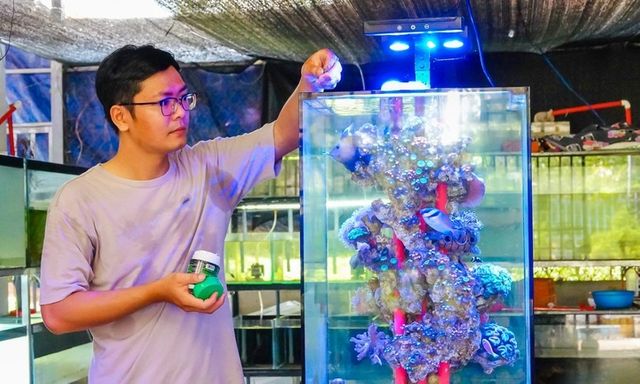 Gác bằng kỹ sư, 9X về quê 