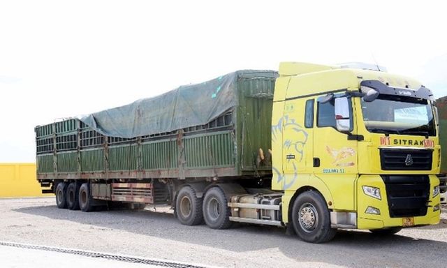 Phát hiện xe tải chở hàng hóa vượt hơn 400% tải trọng, xử phạt lái xe và chủ doanh nghiệp 333 triệu đồng