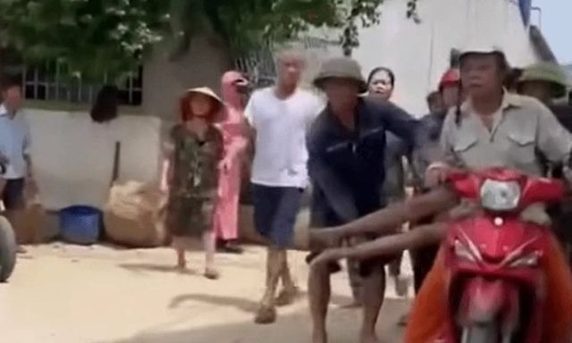 Đi cắt cỏ cho cá ăn, người đàn ông ở Nghệ An bị ong đốt tử vong thương tâm