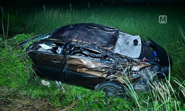 Tránh lợn thả rông trên đường, ô tô tông thẳng vào cây rồi lao xuống ruộng, 3 người thiệt mạng ở Ấn Độ