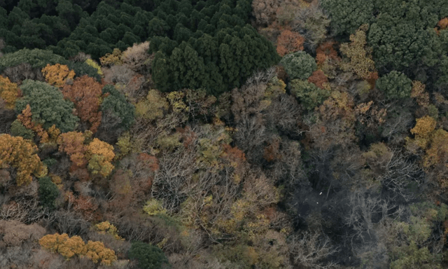 Rơi máy bay tại Nhật Bản, 3 người trên khoang thiệt mạng