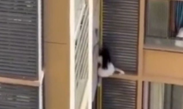 Clip: Người phụ nữ bất ngờ trèo ra cửa sổ căn hộ, hàng xóm hoang mang tột độ